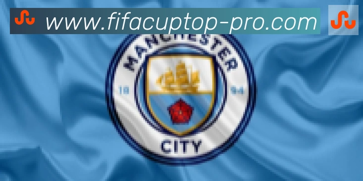 FIFA世界杯比分官方网站合作伙伴